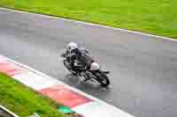 Silver_Grey Bikes